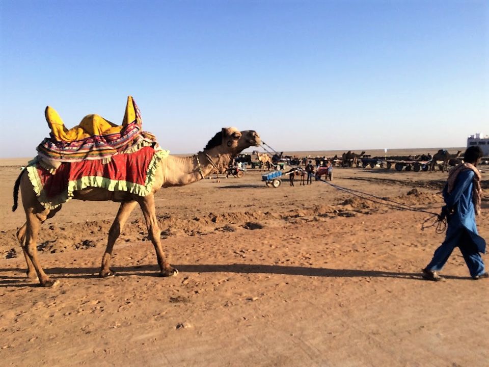 Photo of Rann Of Kutch - India's largest Salt Dessert by TravelwithApSid