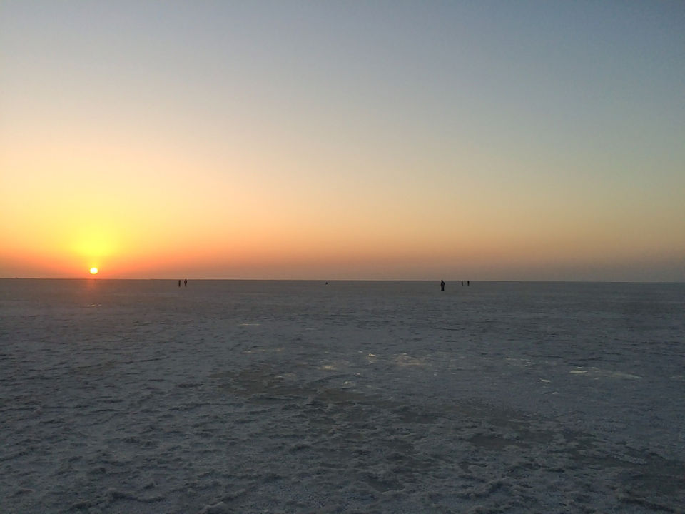 Photo of Rann of Kutch, Gujarat by TravelwithApSid
