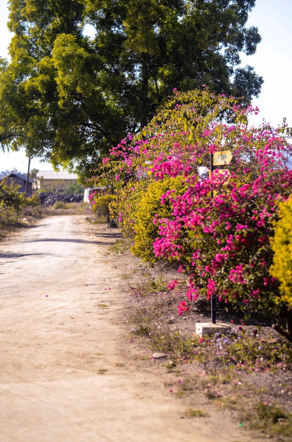 Photo of My trip to Manipur and exploring some of the alluring and uncharted places 1/15 by Anangsha Alomyan