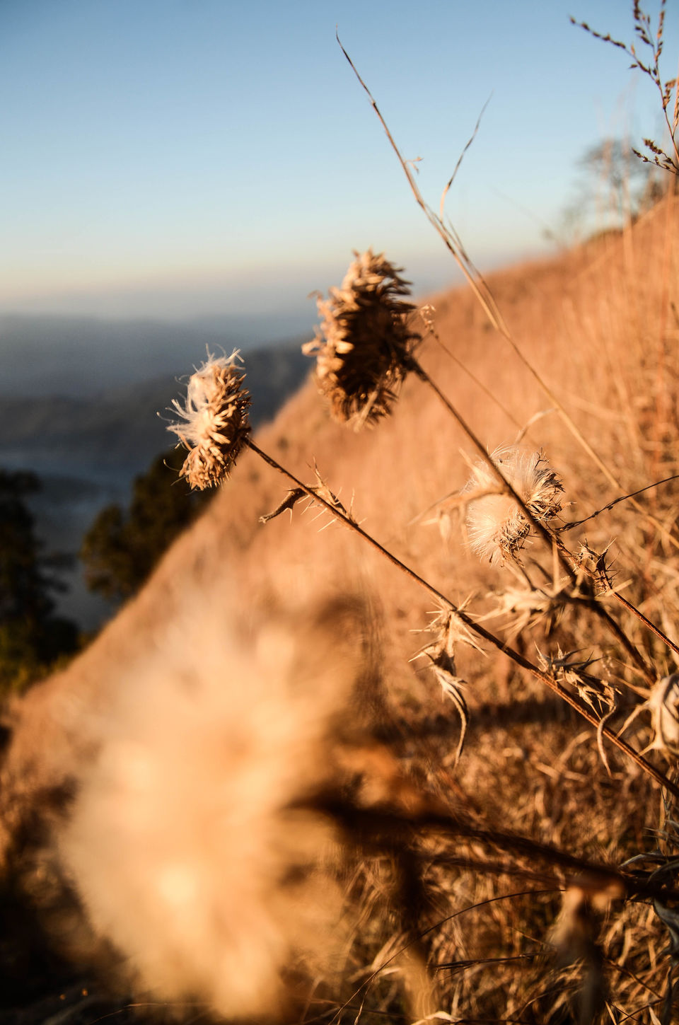 Photo of My trip to Manipur and exploring some of the alluring and uncharted places 8/15 by Anangsha Alomyan