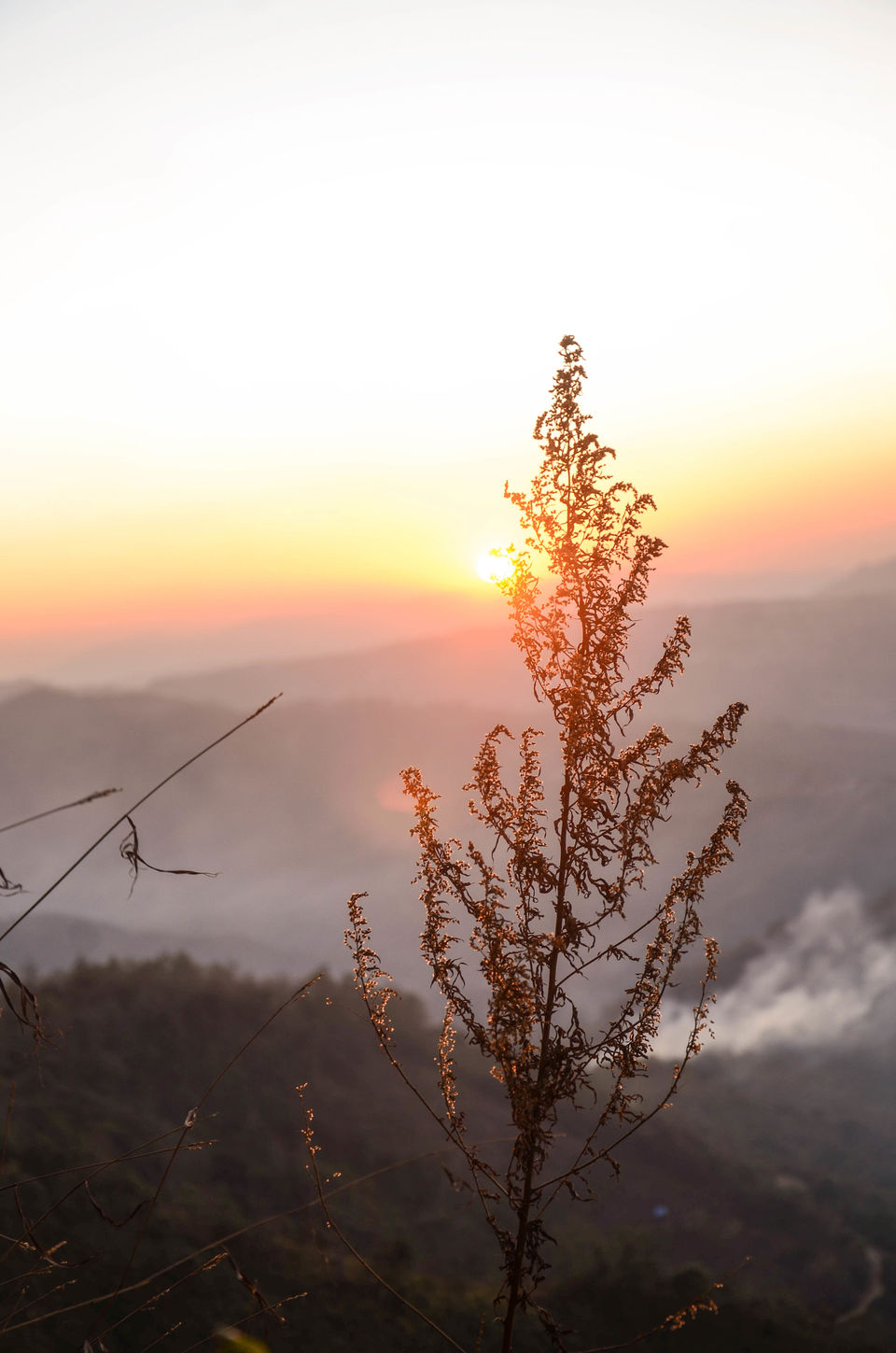 Photo of My trip to Manipur and exploring some of the alluring and uncharted places 11/15 by Anangsha Alomyan