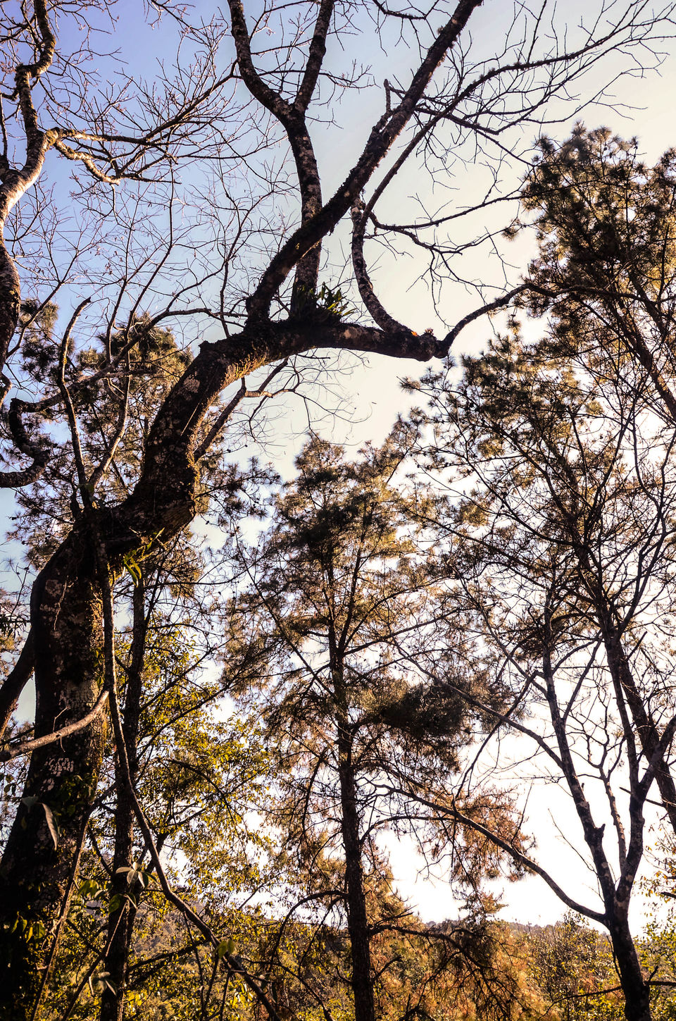 Photo of My trip to Manipur and exploring some of the alluring and uncharted places 13/15 by Anangsha Alomyan