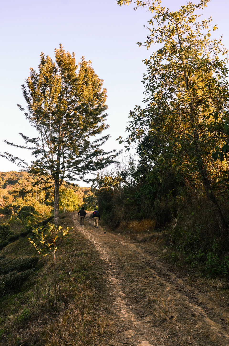 Photo of My trip to Manipur and exploring some of the alluring and uncharted places 14/15 by Anangsha Alomyan