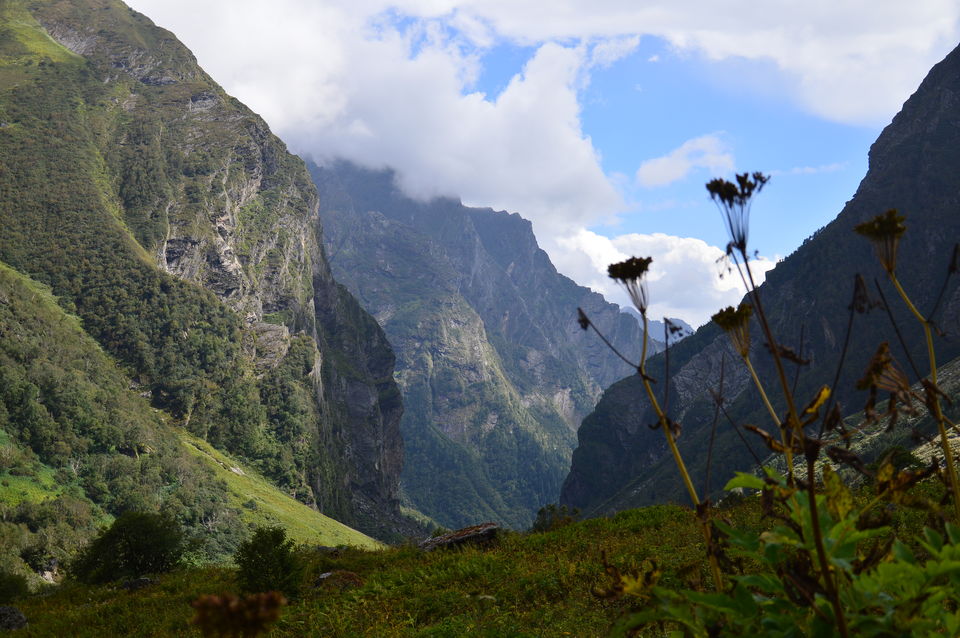 Photo of How I spent enthralling days in Valley of Flowers under Rs 2700 and revitalized my mind 6/8 by Anangsha Alomyan