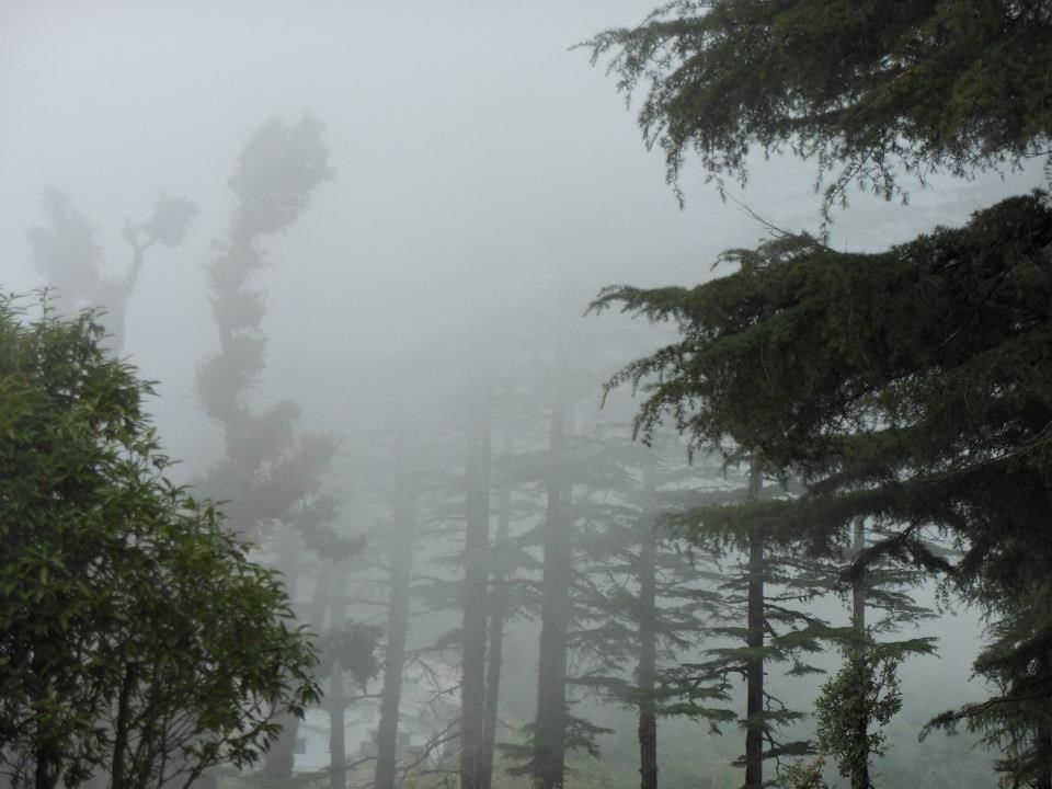 Photo of Uttarakhand: An Adventurer's Dream 3/9 by Ronik Kumar