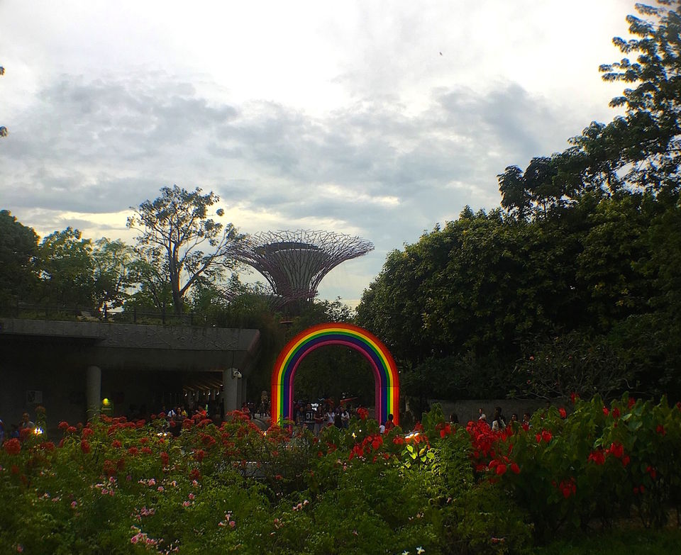 Photo of Gardens by the Bay Singapore by Devanshi Rungta