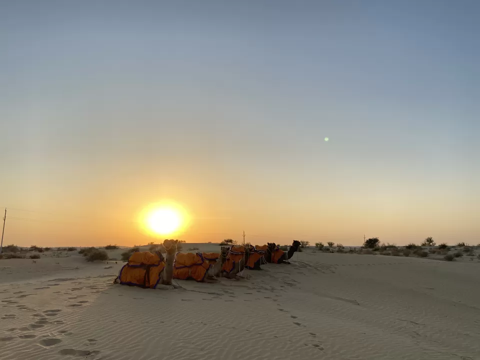 Photo of Thar Desert, Rajasthan by Amitha Ameen