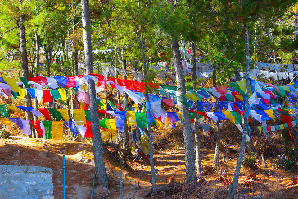 Photo of Bike Ride To Land Of Happiness - Bhutan by Durgesh Manjhi