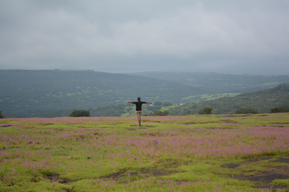 kaas plateau trek distance from mumbai