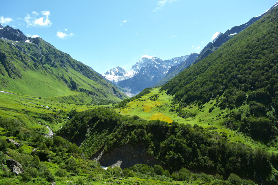 Photo of First trek in Himalayas:Trip to Valley of flower and Hemkund Sahib by Sonam Singh