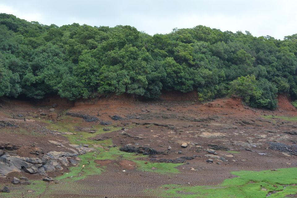 Photo of Mumbai to Matheran: A perfect getaway from Mumbai in Monsoon 4/9 by Sonam Singh