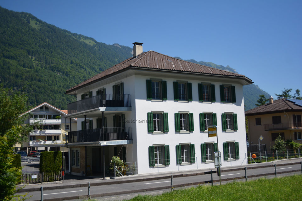 Photo of 7 days in Alps: Memorable trip to Switzerland 3/5 by Sonam Singh