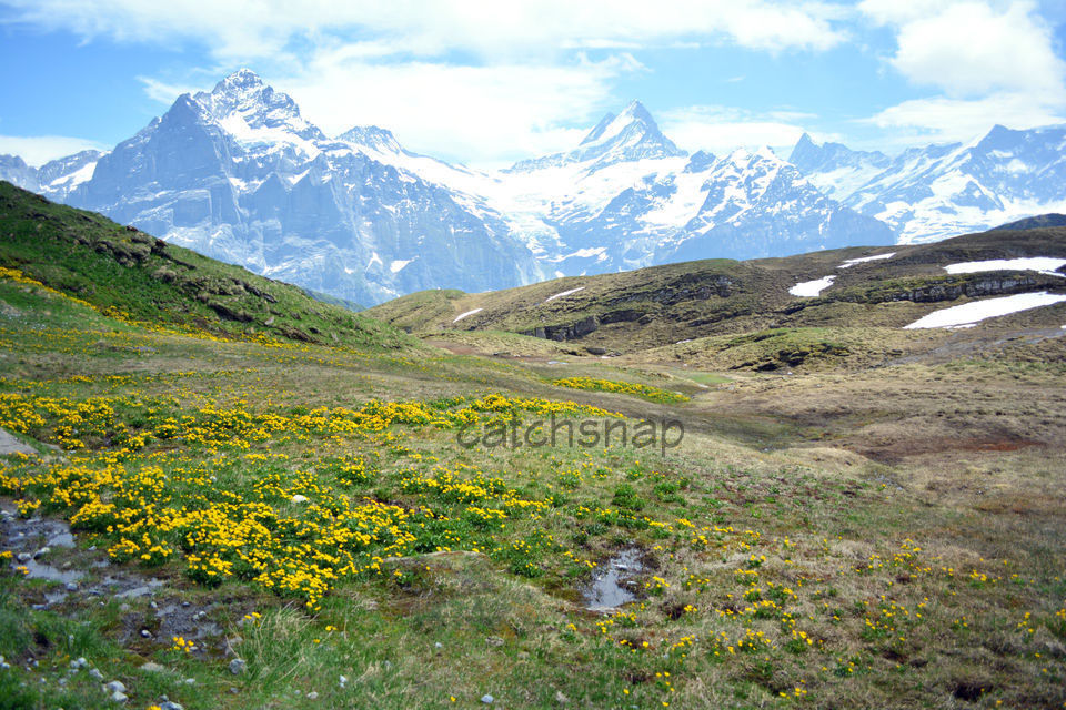 Photo of 7 days in Alps: Memorable trip to Switzerland by Sonam Singh