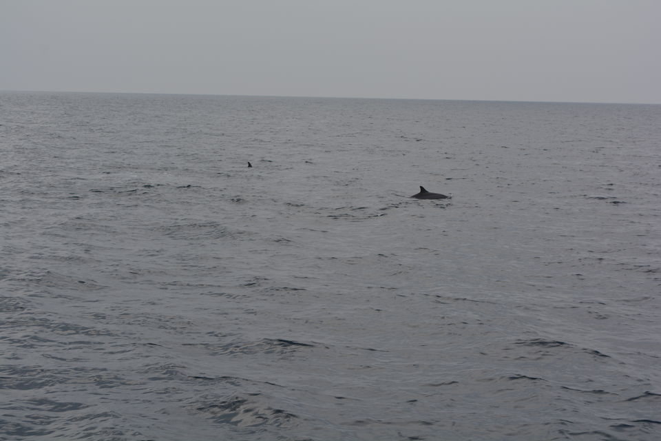 Photo of Mooning in Maldives by Sonam Singh