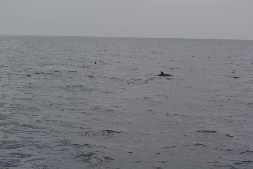 Photo of Mooning in Maldives by Sonam Singh