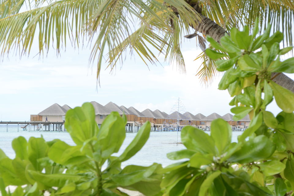 Photo of Mooning in Maldives by Sonam Singh