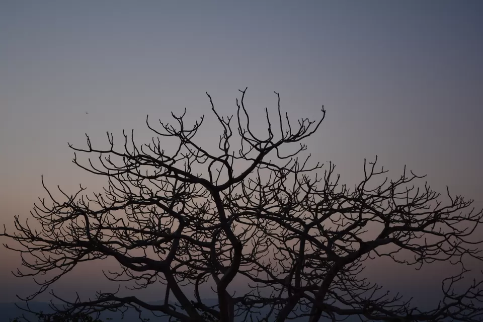 Photo of 2 days in Udaipur: The Budget Trip by Sonam Singh