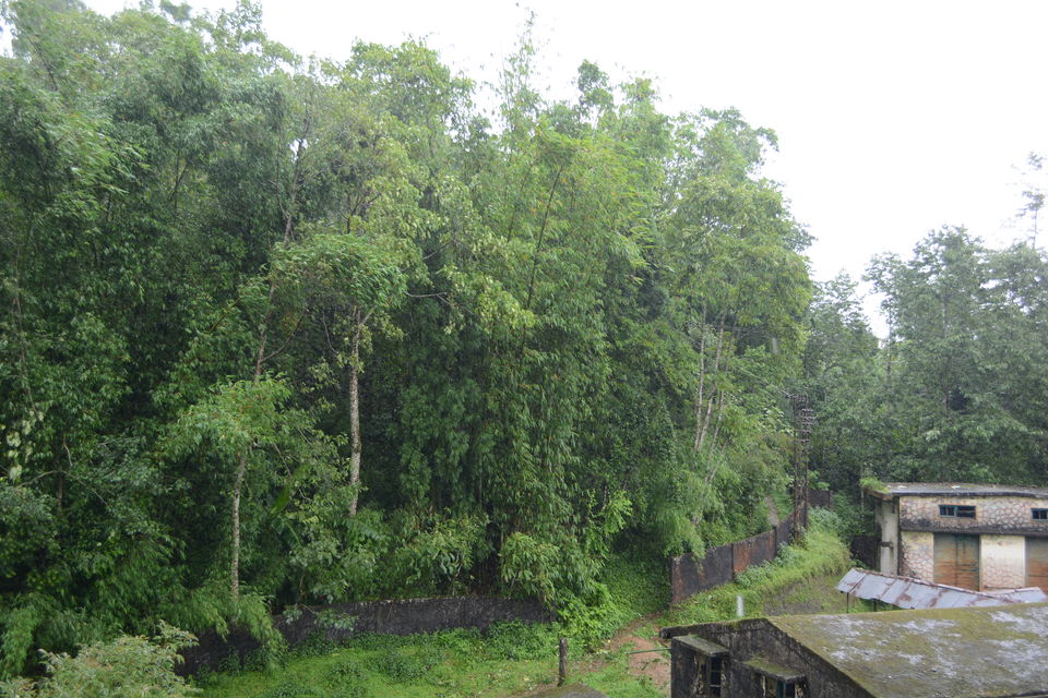 Photo of One day trip to Mirik From Siligudi 5/19 by Sonam Singh