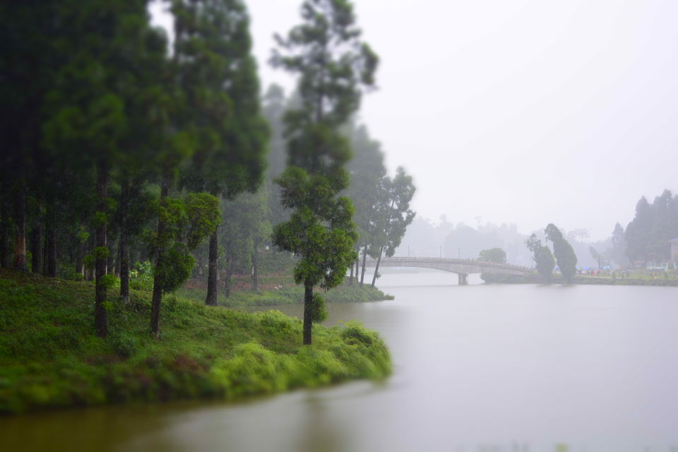 Photo of One day trip to Mirik From Siligudi 1/19 by Sonam Singh