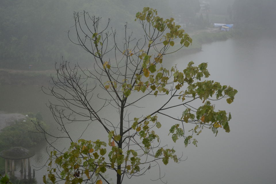 Photo of One day trip to Mirik From Siligudi 7/19 by Sonam Singh