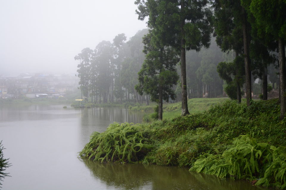 Photo of One day trip to Mirik From Siligudi 11/19 by Sonam Singh