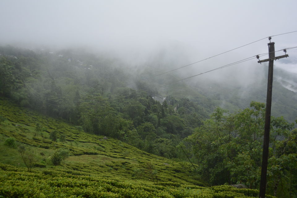 Photo of One day trip to Mirik From Siligudi 17/19 by Sonam Singh