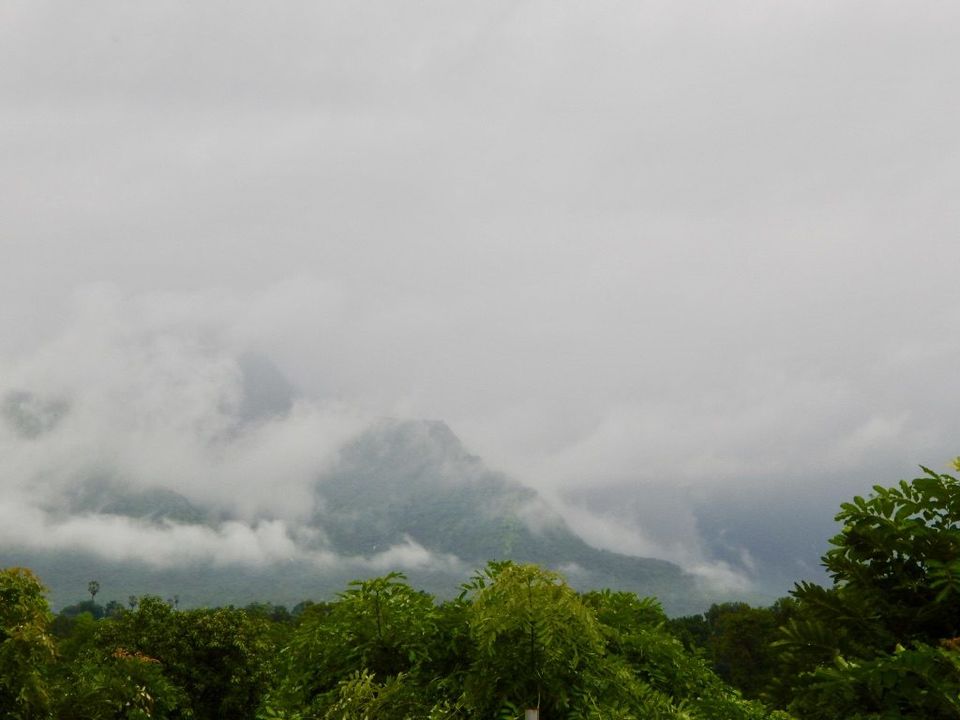 Photo of A secret farm getaway that's 60 minutes from Mumbai: The Roots Farm Review - MunniOfAllTrades.com by Khushboo Motihar