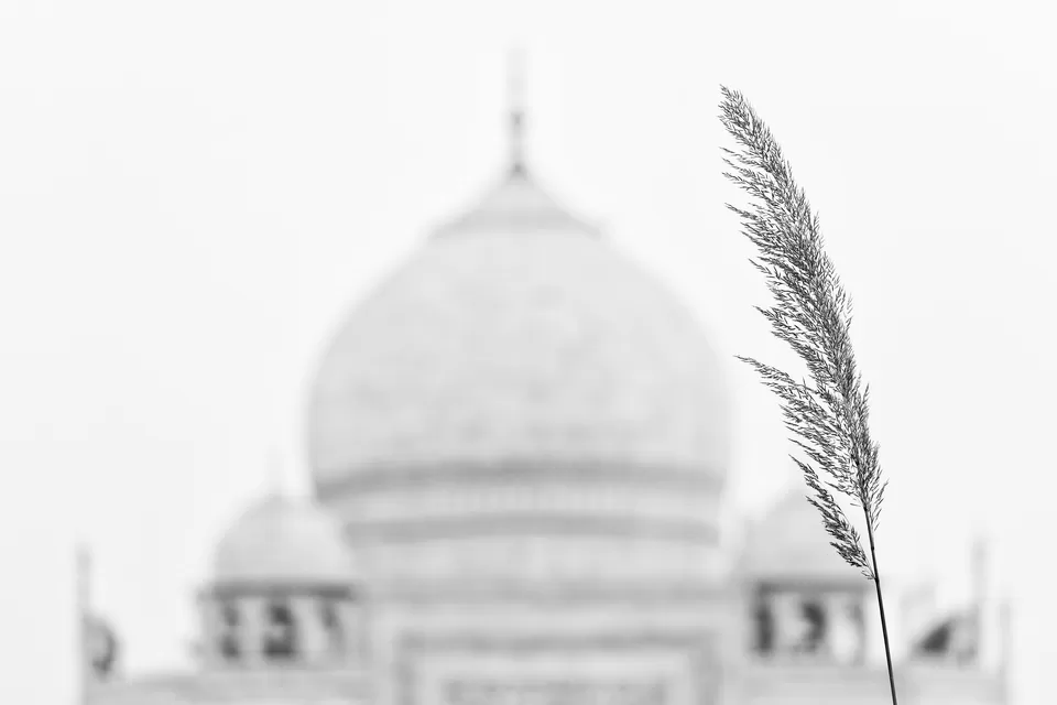 Photo of TAJ MAHAL - The wonder that you have to visit to believe in. by swearingpirate