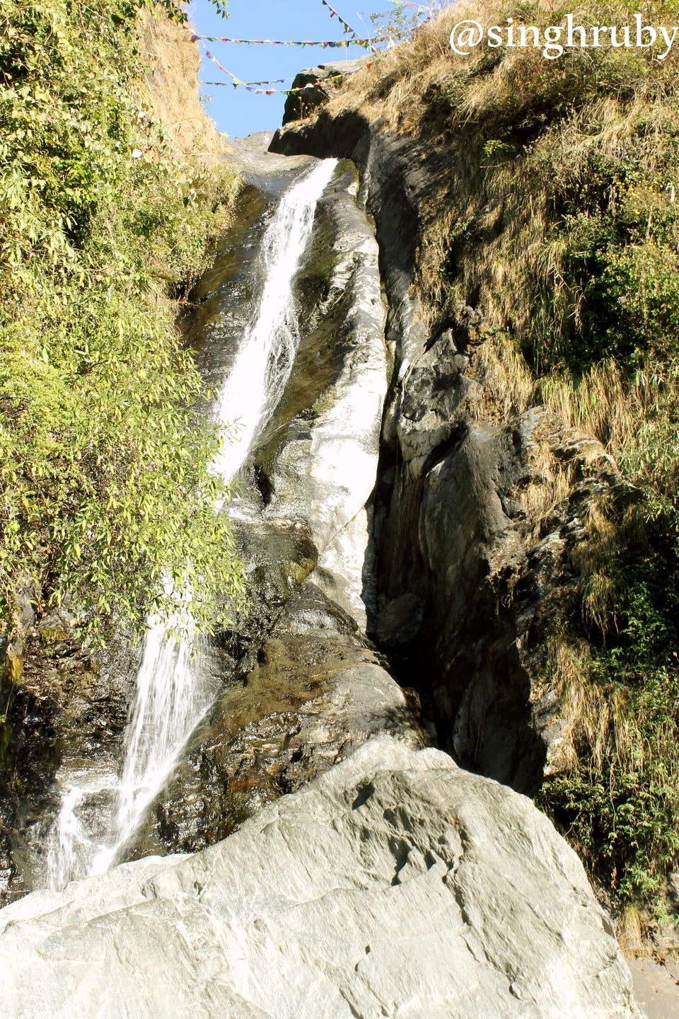 Photo of Basking in Mcleodganj 23/31 by Ruby Singh