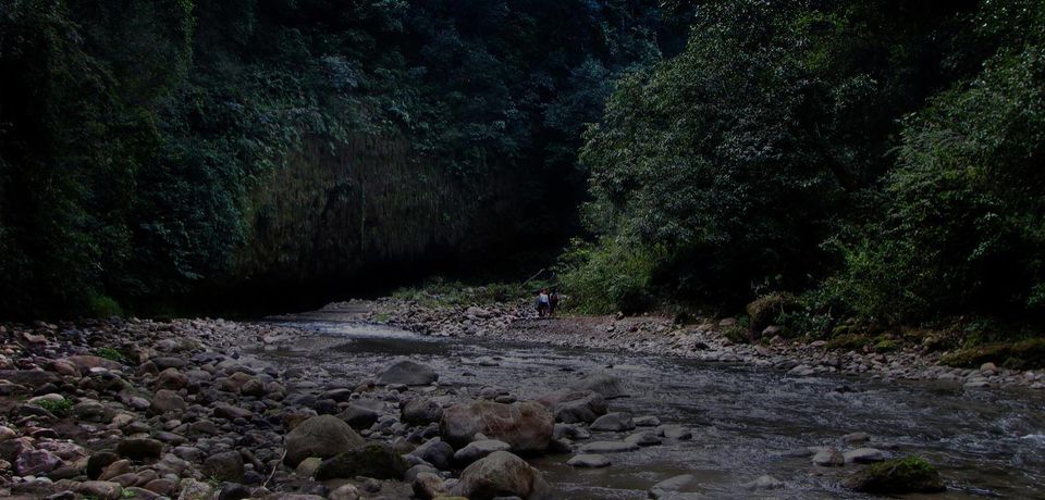 Photo of Monsoon magic of Corbett 7/9 by Faisal Rizvi