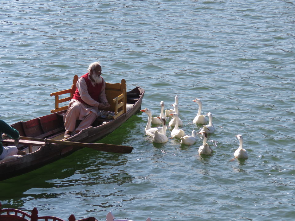 Photo of Bhimtal, Uttarakhand, India by MM
