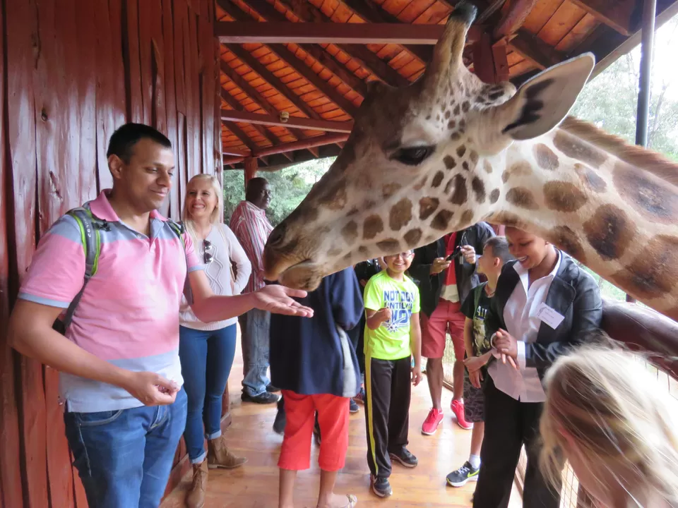 Photo of Giraffe Centre, Duma Road, Nairobi, Kenya by MM
