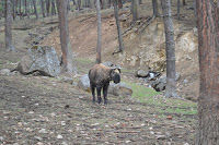Photo of Bhutan - Happy country, Happy You! 17/31 by Ramya Rg