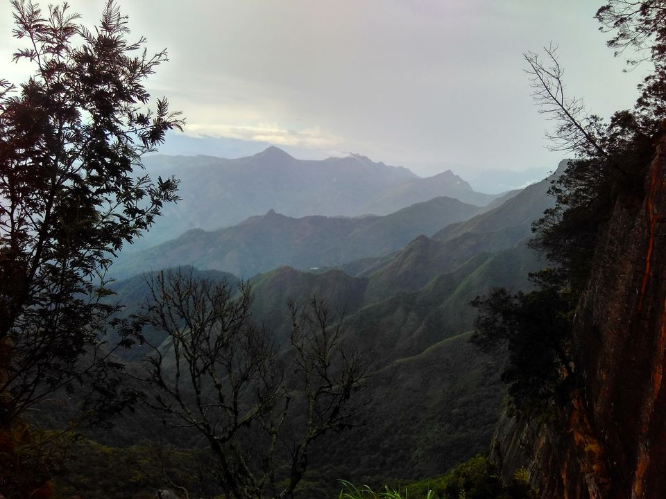 Photo of Kodai- The Gift of the Forest by Diksha Batra