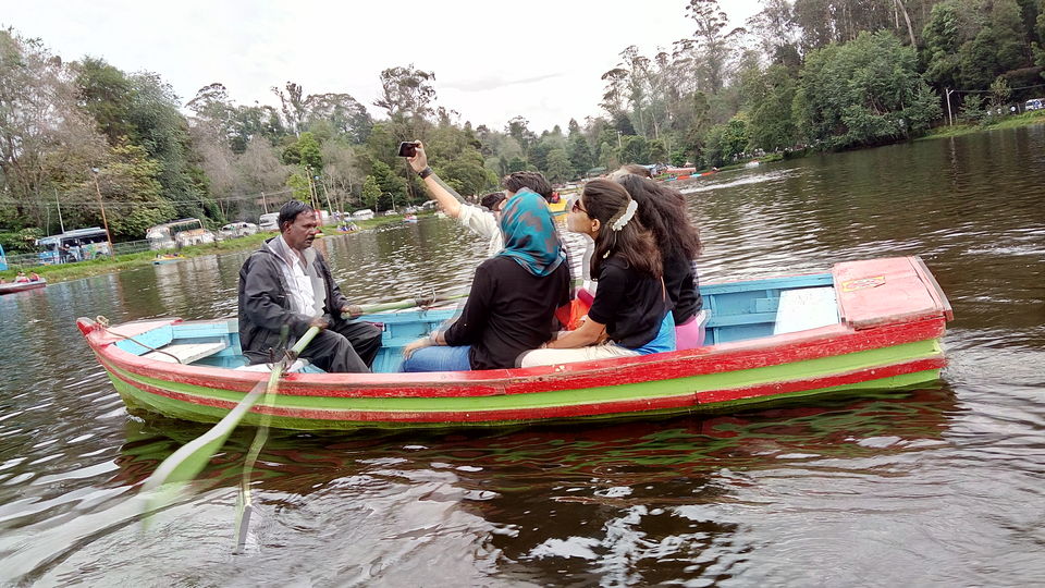 Photo of Kodai- The Gift of the Forest by Diksha Batra