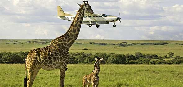 Photo of simba paka safaris, Nairobi, Kenya by Kariuki Mwangi