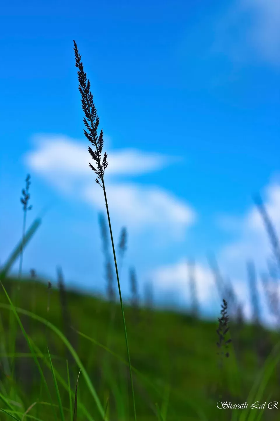 Photo of Cherrapunji‎, Meghalaya, India by Sharath Lal Raju