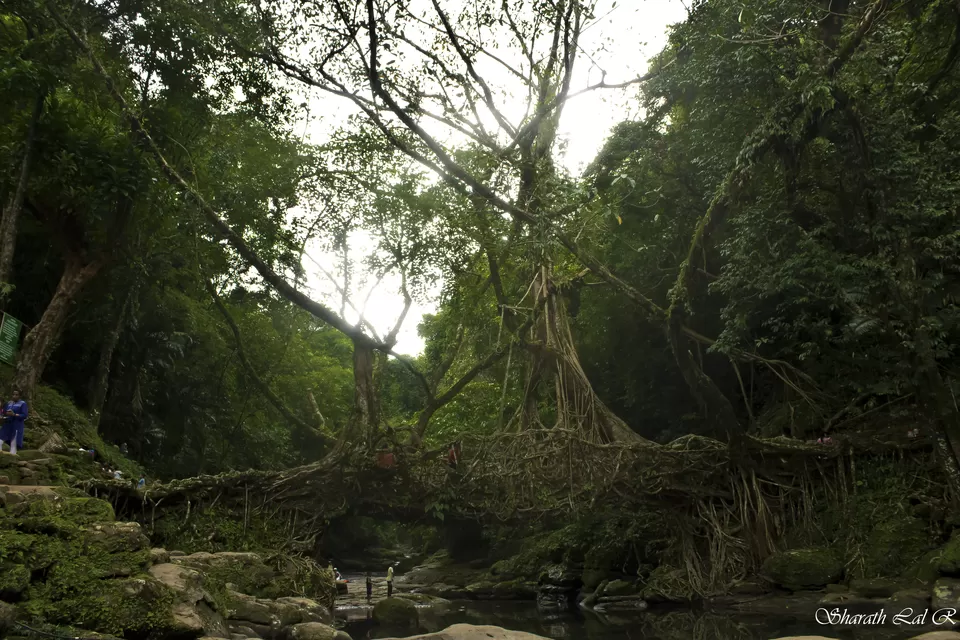 Photo of Dawki, Meghalaya, India by Sharath Lal Raju