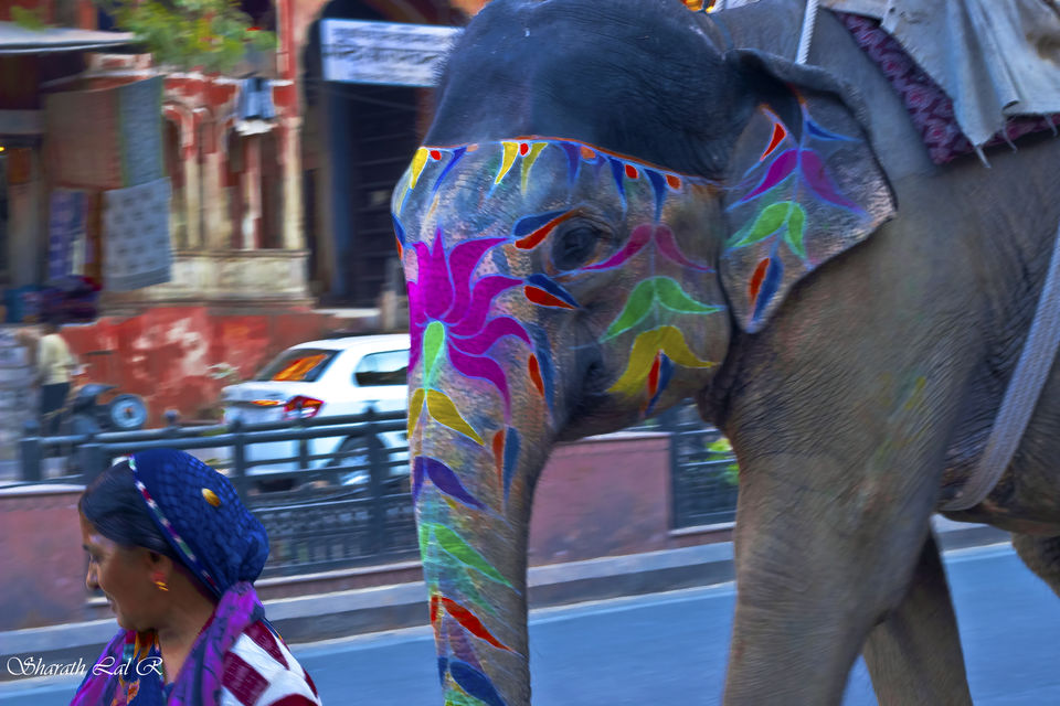 Photo of Jaipur, Rajasthan, India by Sharath Lal Raju