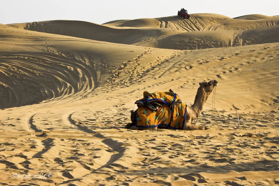 Photo of Thar Desert, Rajasthan, India by Sharath Lal Raju
