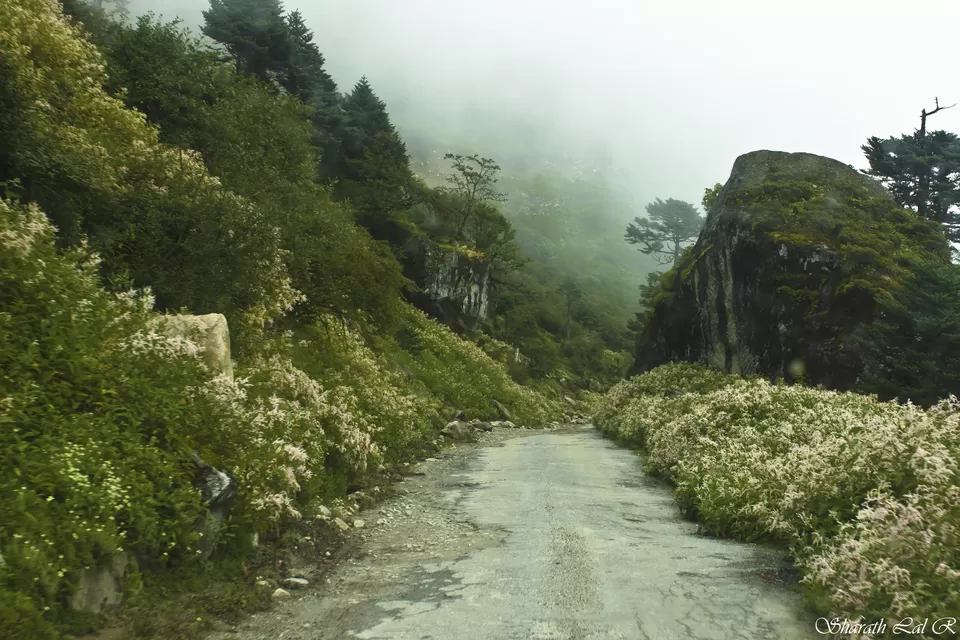 Photo of Lachung, Sikkim, Lachung, Sikkim, India by Sharath Lal Raju