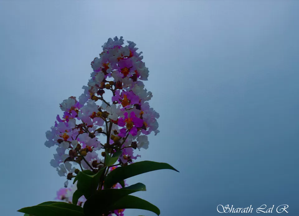 Photo of Lavasa, Maharashtra, India by Sharath Lal Raju