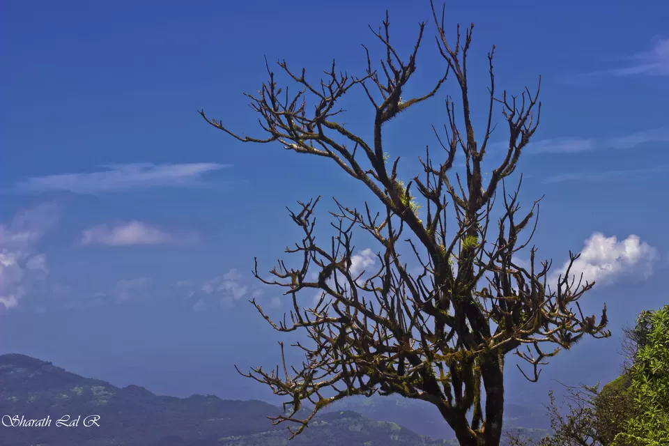Photo of Lavasa, Maharashtra, India by Sharath Lal Raju