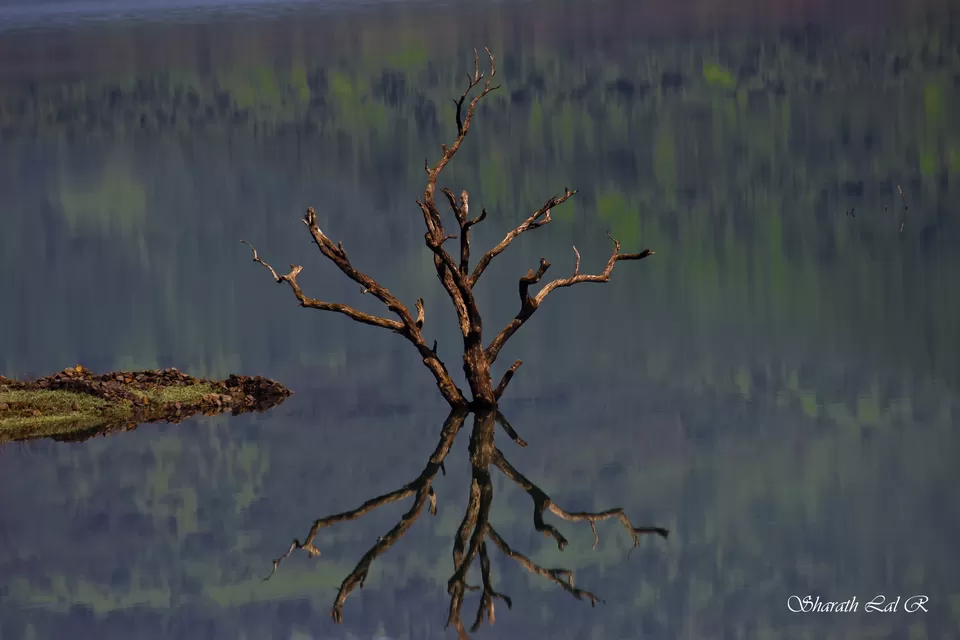 Photo of Mulshi, Maharashtra, India by Sharath Lal Raju