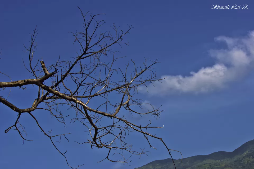 Photo of Mulshi, Maharashtra, India by Sharath Lal Raju