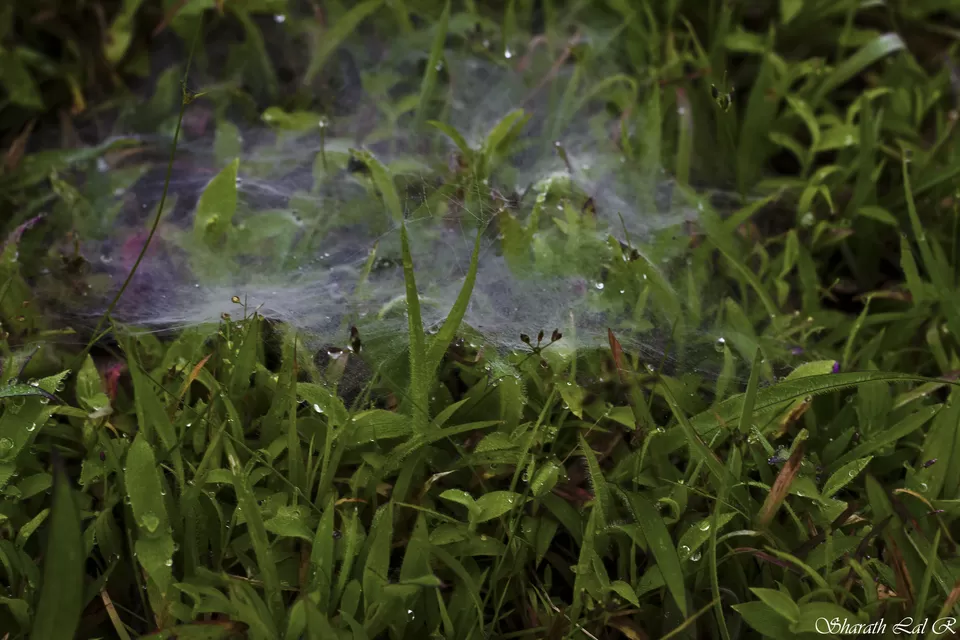 Photo of Matheran, Maharashtra, India by Sharath Lal Raju