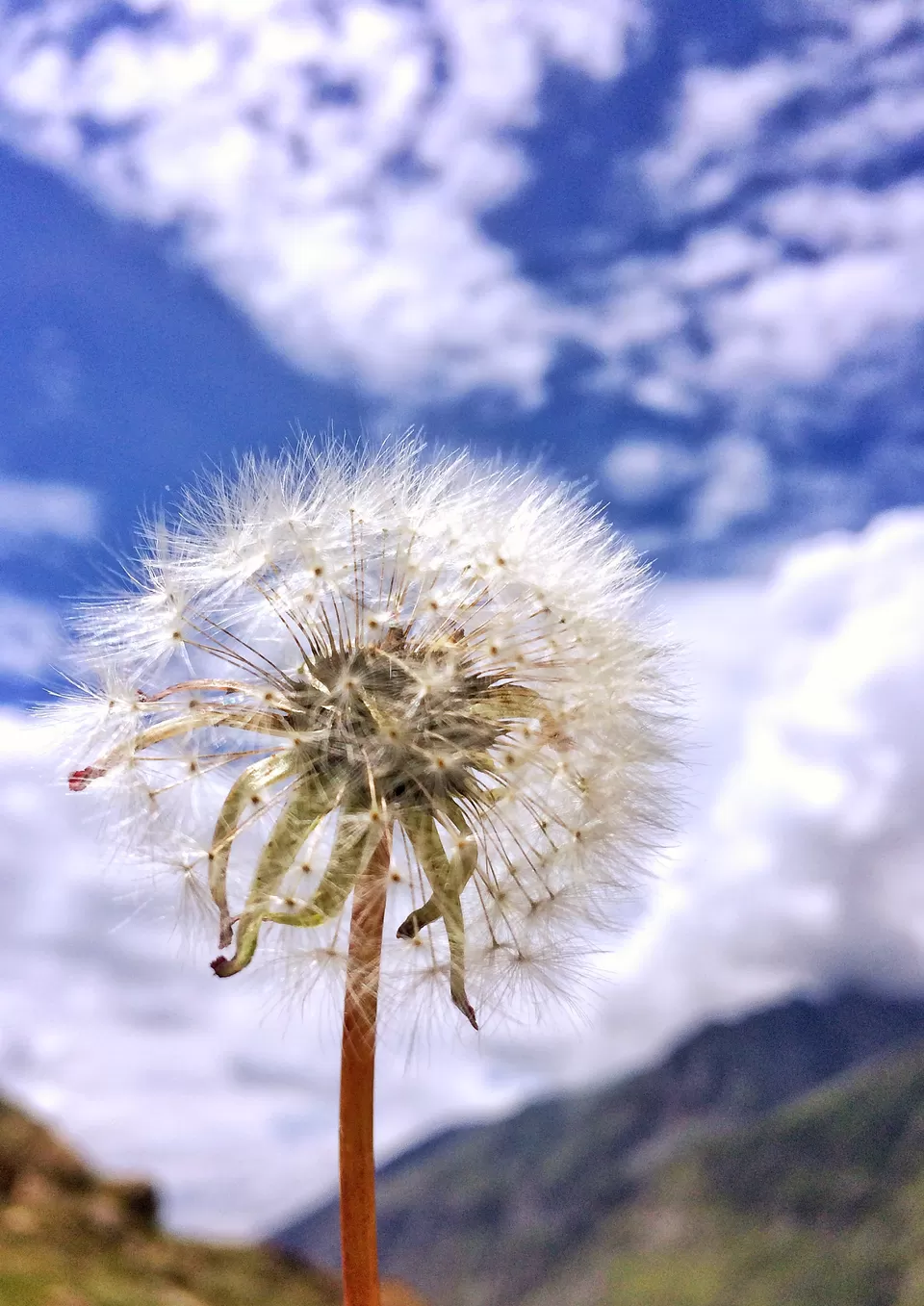 Photo of Rohtang Pass, Himachal Pradesh by Sharath Lal Raju
