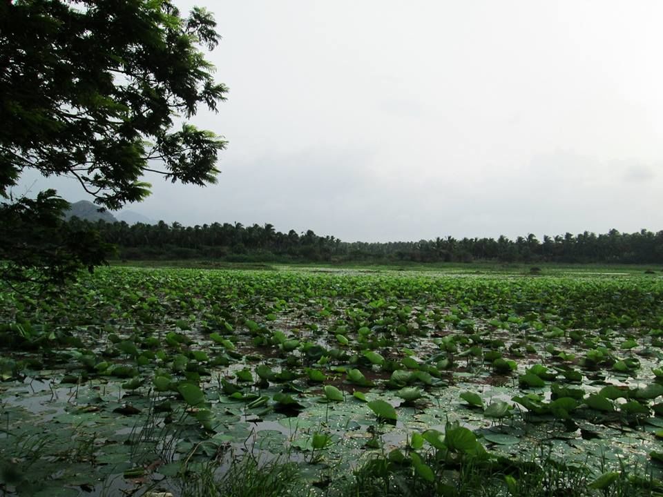 Photo of Bike Trip - Kanyakumari 1/10 by Parthi Pan K