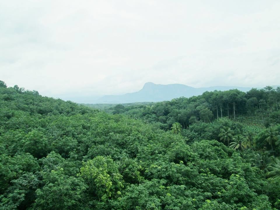 Photo of Bike Trip - Kanyakumari 5/10 by Parthi Pan K