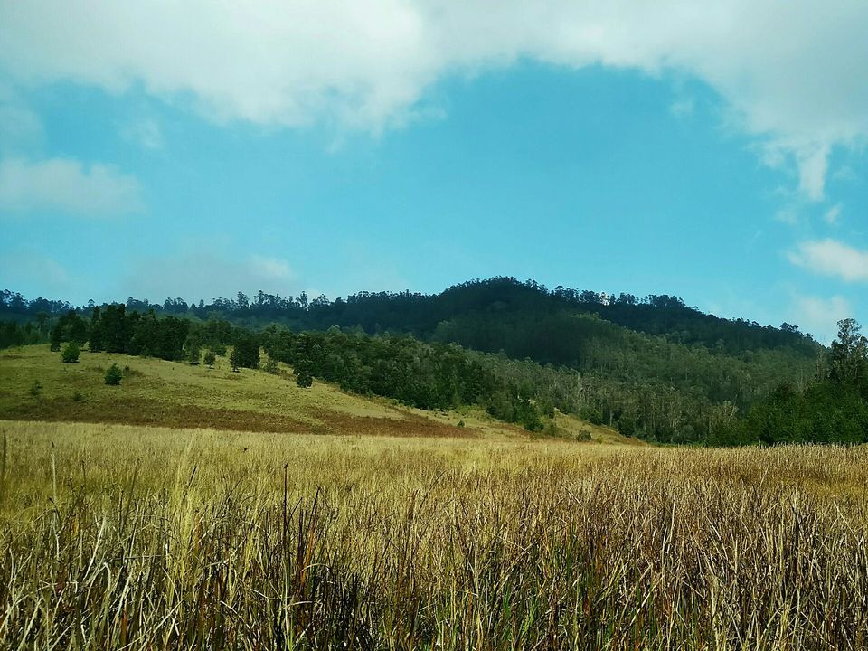 Photo of Bike Trip - Kodaikanal by Parthi Pan K